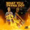 Izzy Strange & Freddie Gibbs - What You Tryna Do? - Single